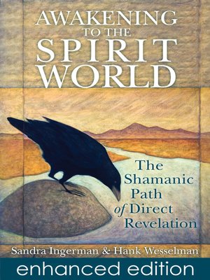 Awakening to the Spirit World - ebook